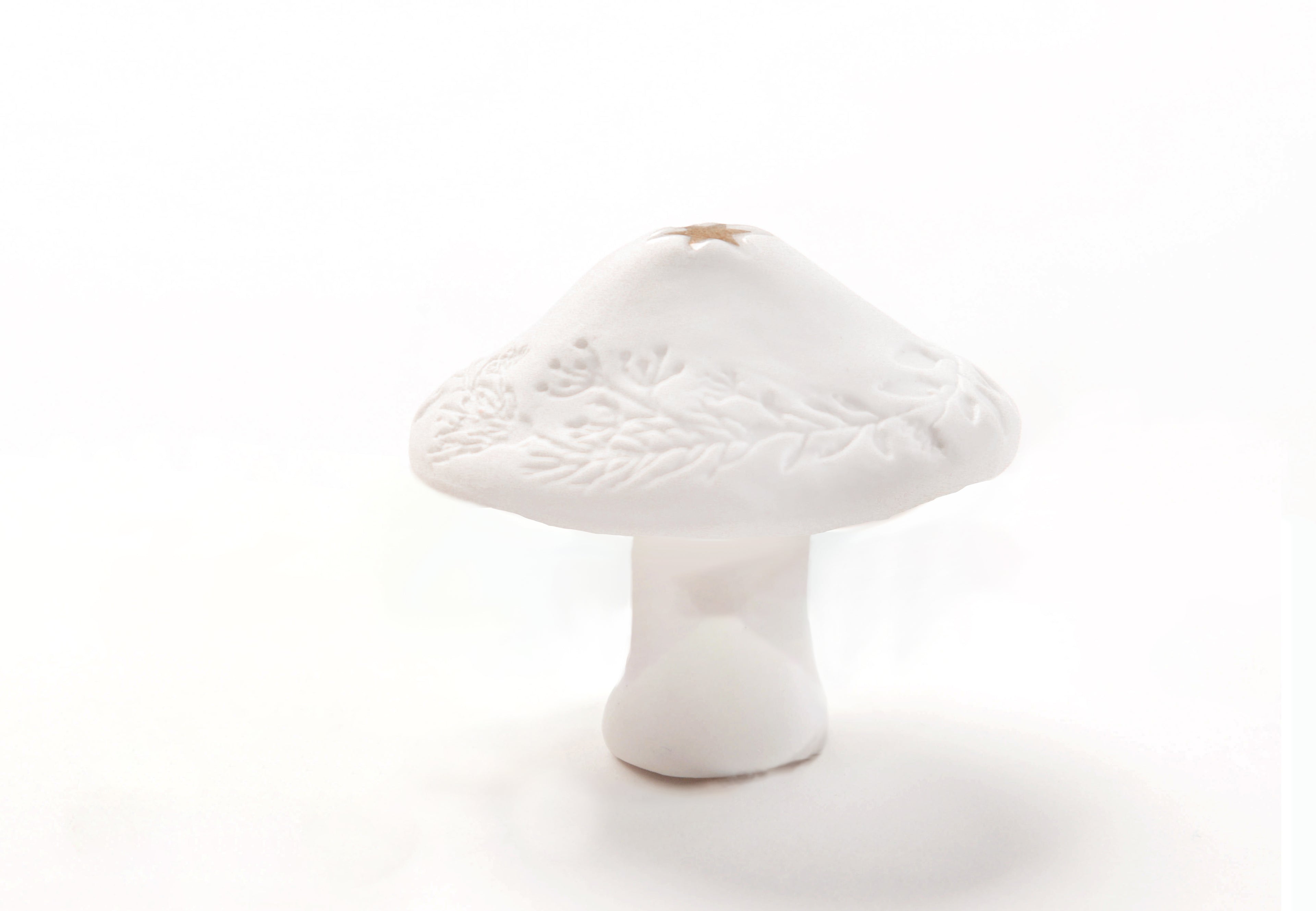 Winter Glückspilze 4 Varianten