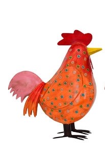 Hahn mit Punkten Orange