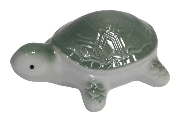 Schwimmschildkröte „Dowse“