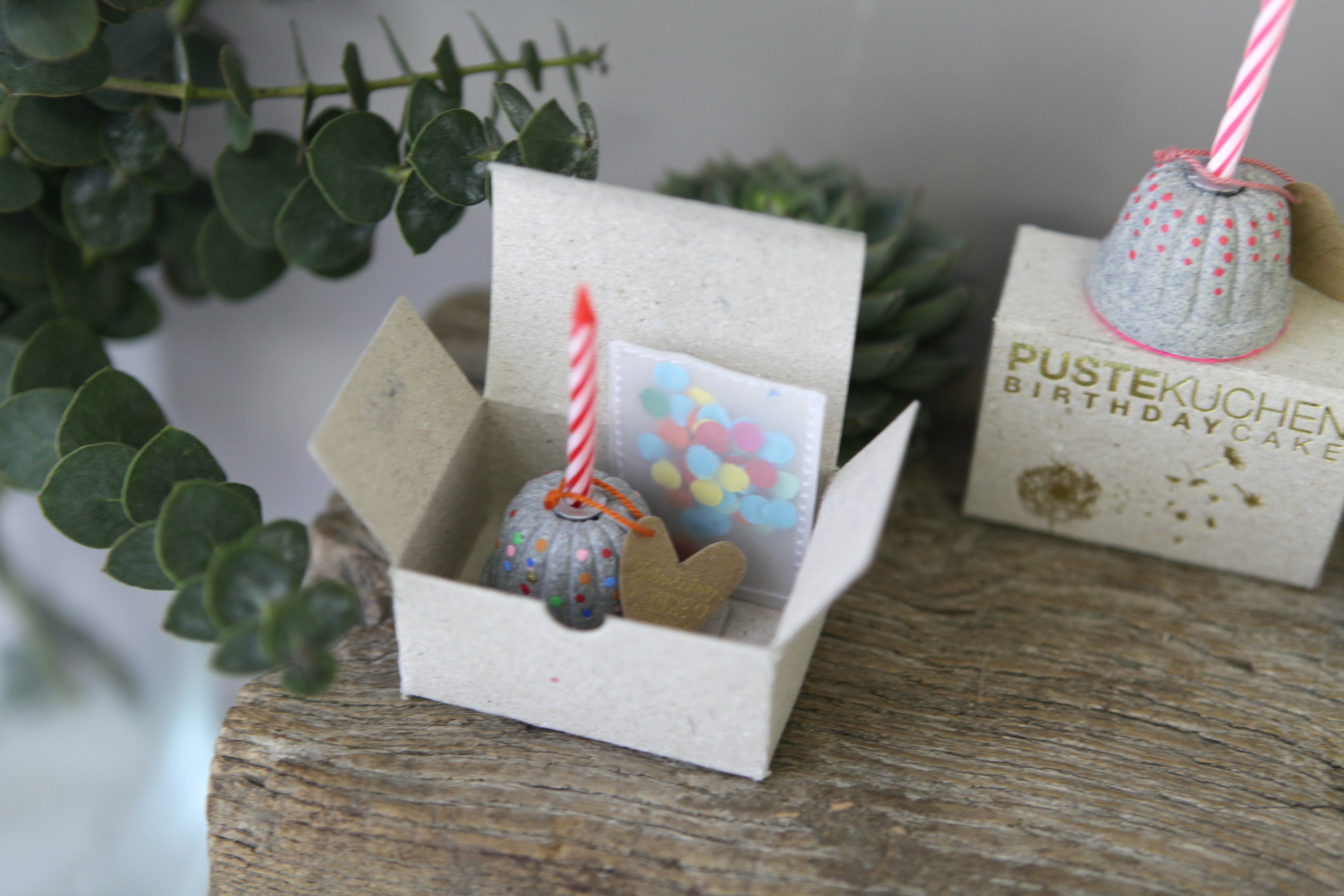 Mini Pustekuchen 6 Motive